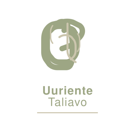 Логотип SecureStep